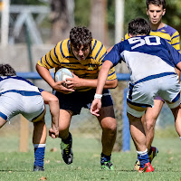 Foto de perfil de toto rovetta: en un tackle, en un partido de rugby